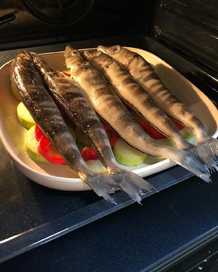 Ледяная рыба
